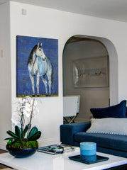Blue Note Appaloosa Horse