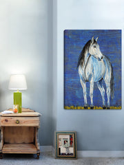 Blue Note Appaloosa Horse