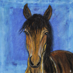 Hidalgo Mustang Horse