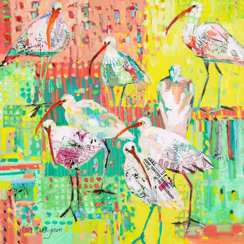 Ibis