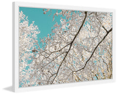 Frosted Branches