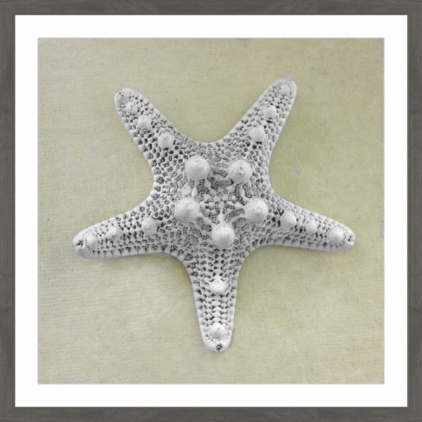 Pearly Starfish