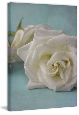The Original White Rose