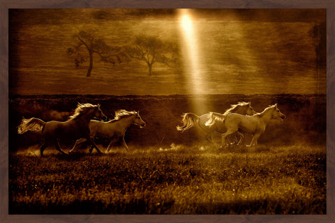 Horses at Sunrise 2