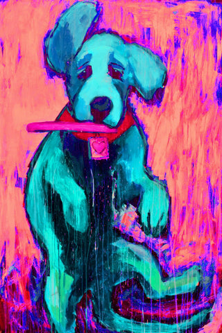 Pink Funky Frisbee Pup