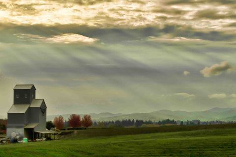 Wine Country Sunset