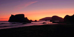 Oregon Coast Silhouette