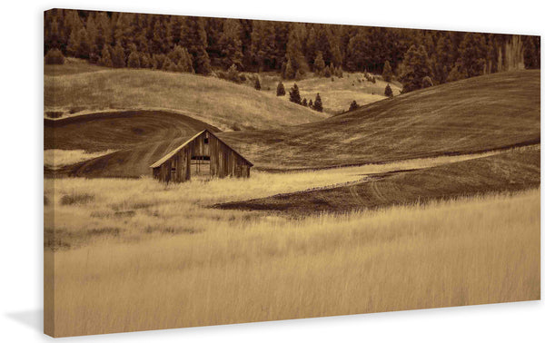Brown Barn in the Blonde Grasses
