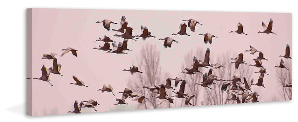 Cranes Across the Sky