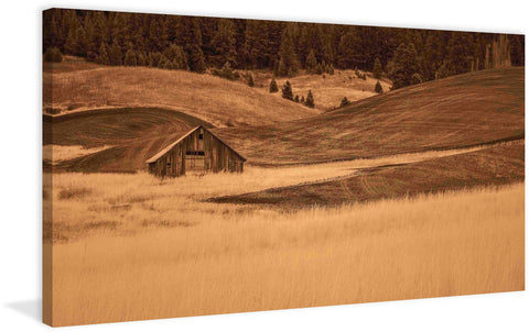Brown Barn in the Blonde Grasses