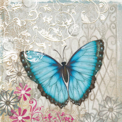 A Light Blue Butterfly