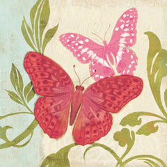 Fuschia Butterfly II