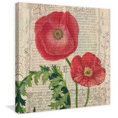 Poppy Pages Square II