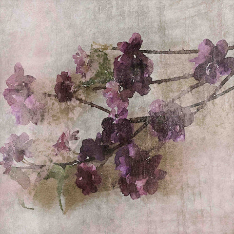 Purple Flowers 2