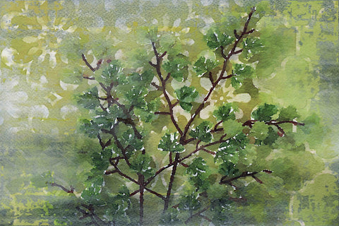 Green Sensation I