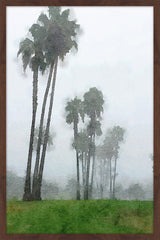 Rainy Season