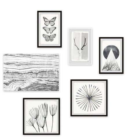 Look My Wonder Hexaptych