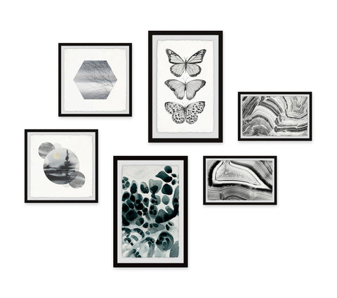 Natural Biology Hexaptych