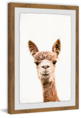 Llama Face II