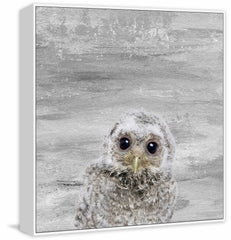 Snow Owl