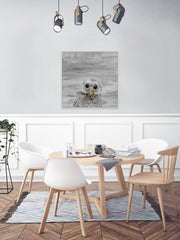 Snow Owl