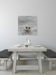 Snow Owl