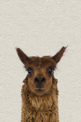 Staring Llama II