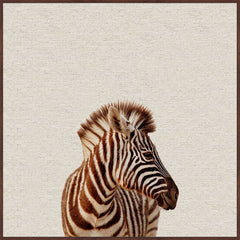 Zebra Side View