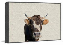 Brown Cow