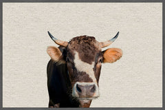 Brown Cow