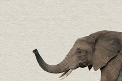 Side Elephant