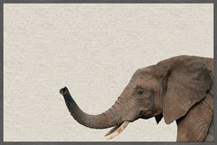 Kind Elephant