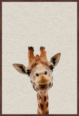 Curious Giraffe