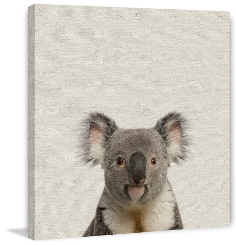 Playful Koala