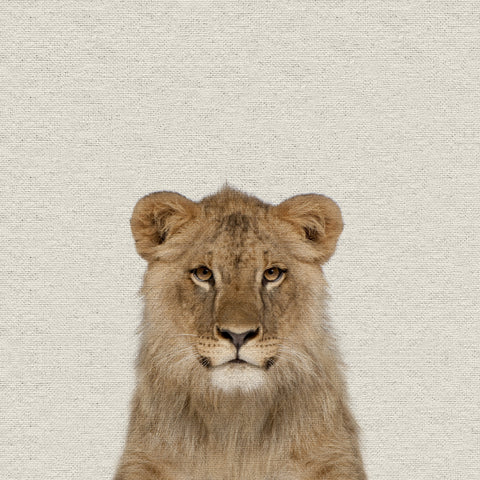 Smiling Lion