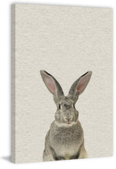 Gray Rabbit