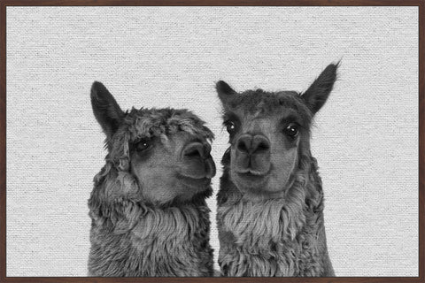 Llama Couple