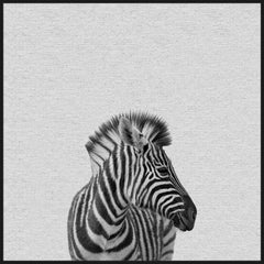 Black & White Zebra