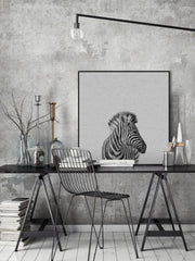 Black & White Zebra