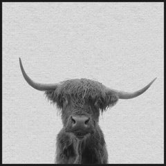 Black & White Buffalo