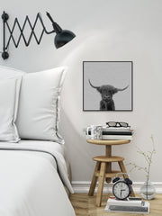 Black & White Buffalo