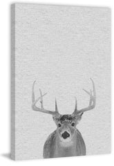 Grey Deer II