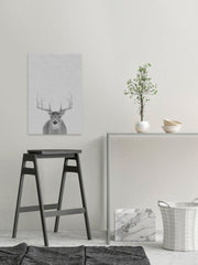 Grey Deer II