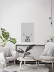 Grey Deer II