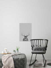 Grey Deer II