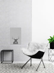 Grey Deer II