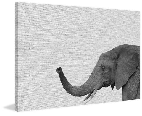 Side Elephant II