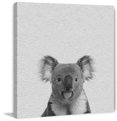 Playful Koala II