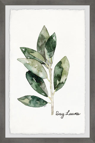 Herb Bay Leaves