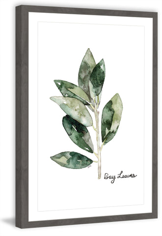 Herb Bay Leaves